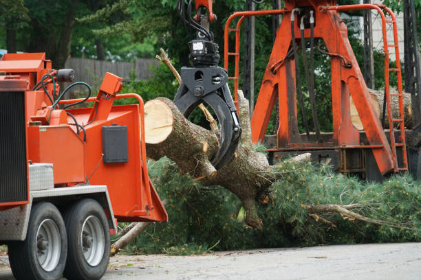 Best Residential Tree Removal  in Prosser, WA